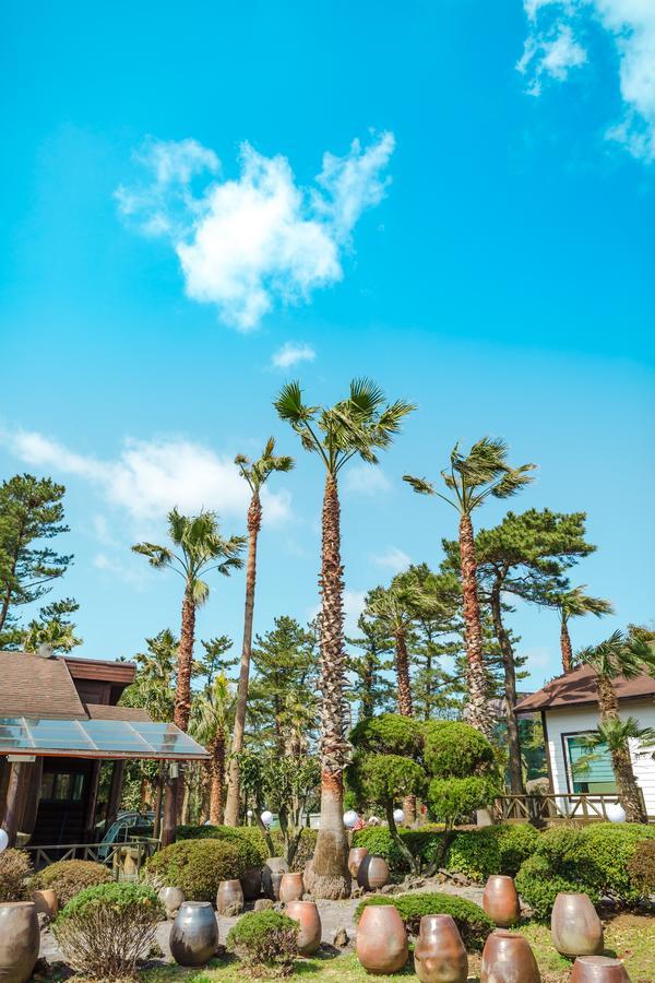 Bijarim Resort Czedżu Zewnętrze zdjęcie